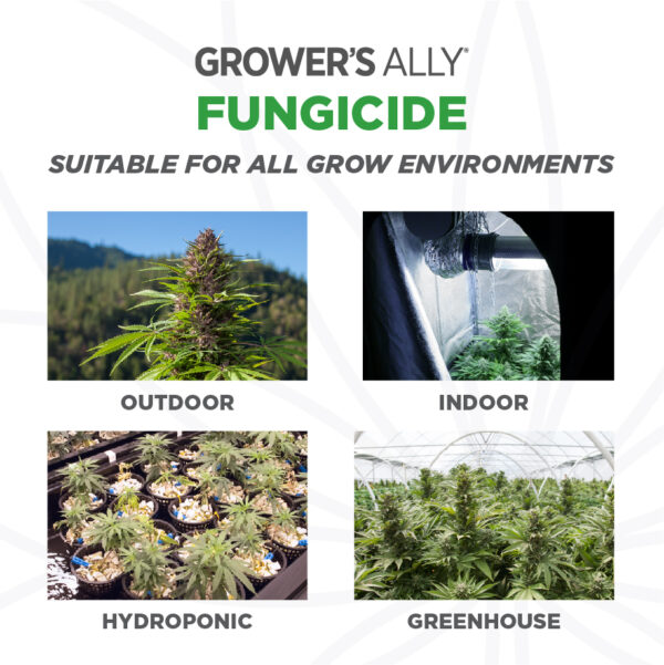 Grower’s Ally Fungicide is suitable for use in all grow environments. Grower’s Ally Fungicide is an OMRI Listed® fungicide and bactericide for use on cannabis and hemp.
