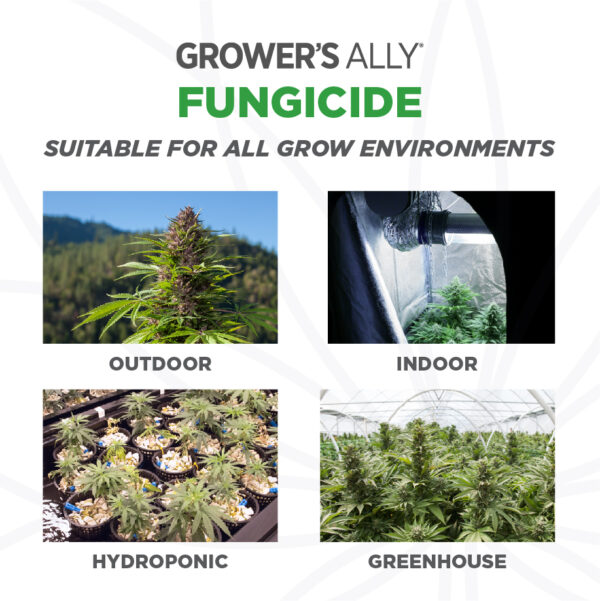 Grower’s Ally is suitable for use in all grow environments. Grower’s Ally Fungicide is an OMRI Listed® fungicide and bactericide for use on cannabis and hemp.