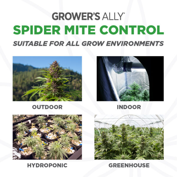Grower’s Ally Spider Mite Control is suitable for use in all grow environments. Grower’s Ally Spider Mite Control is an OMRI Listed® insecticide, miticide and repellent for use on cannabis and hemp.